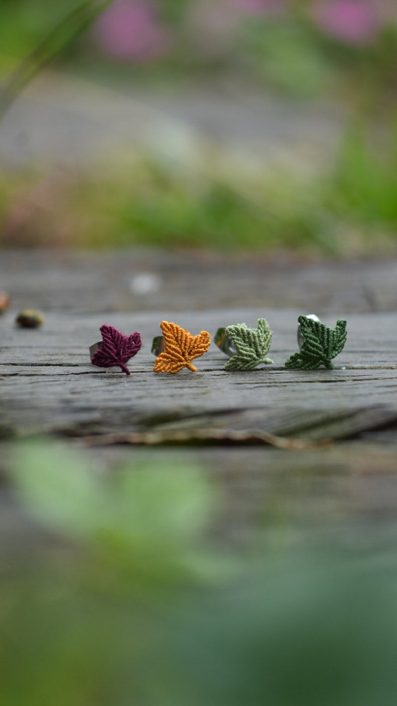 Les Petites Merveilles