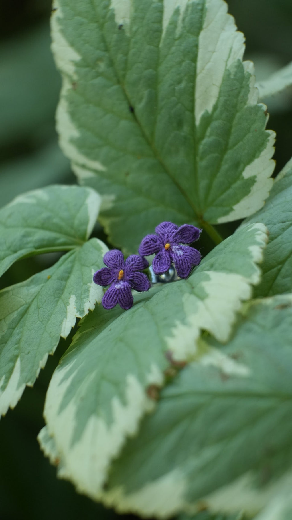 Détail du tissage d'une violette sauvage – Coton et Astrance