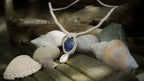 Collier micro macramé unisexe bleu sodalite & cauri – été bohème - Coton & Astrance