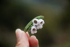 Broche Muguet micro macramé – Bijou floral fait main - Coton & Astrance
